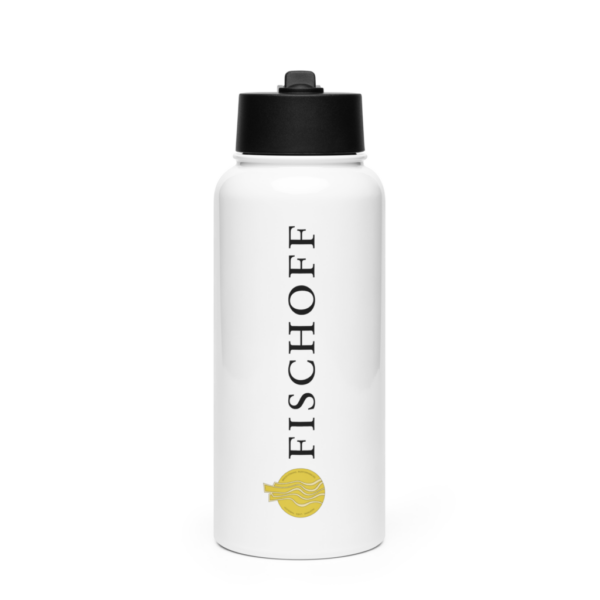 Stainless steel water bottle with straw lid